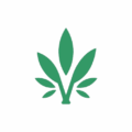 Elegant v letter cannabis logo removebg preview (1)